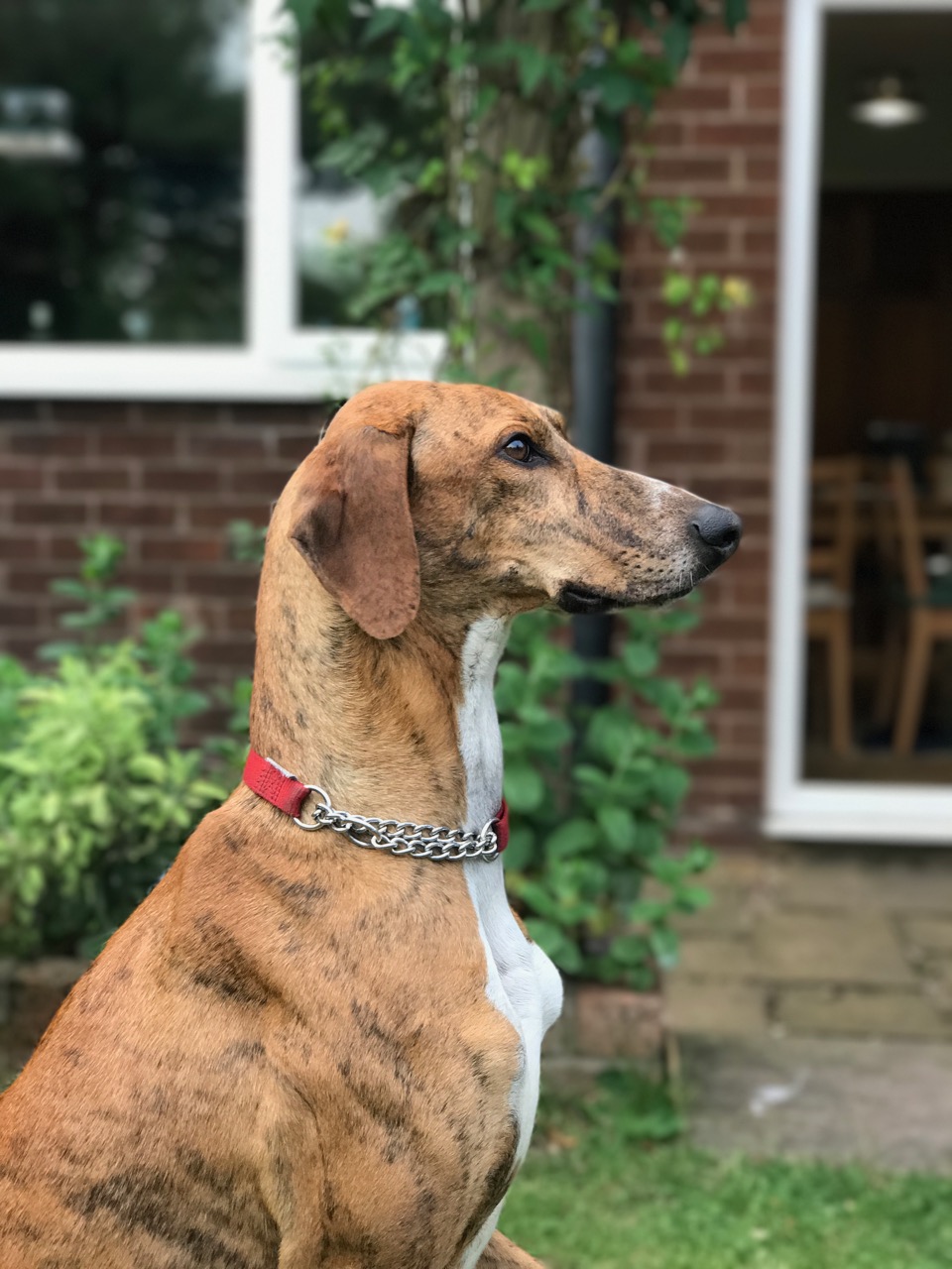 Team - Charlie